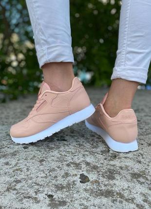 Женские розовые кроссовки reebok classic leather  pink/white