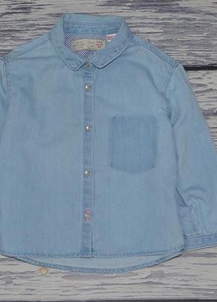 9-12 месяцев 80 см очень модная фирменная джинсовая рубашка рубашечка зара zara2 фото