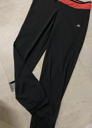 Штани жіночі adidas оригінал