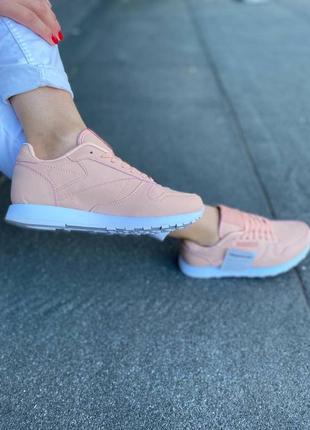 Женские кроссовки reebok classic pink розовые8 фото