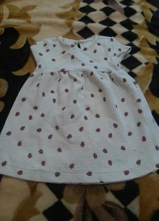 Плаття 3-6 міс