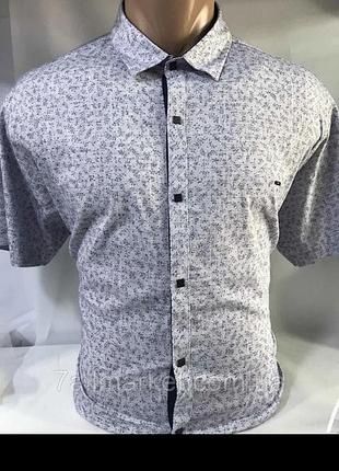 Сорочка чоловіча