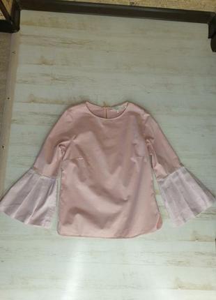 Рожева блуза ted baker7 фото