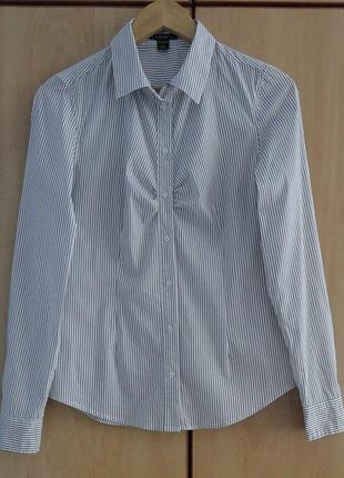 Супер брендовий сорочка блуза блузка бавовна