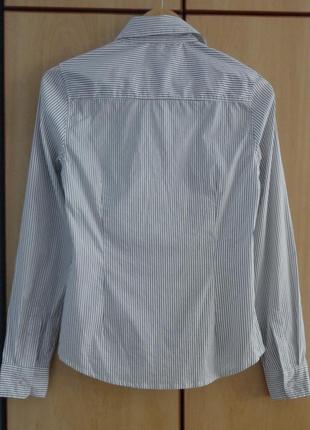 Супер брендовая рубашка блуза блузка хлопок3 фото