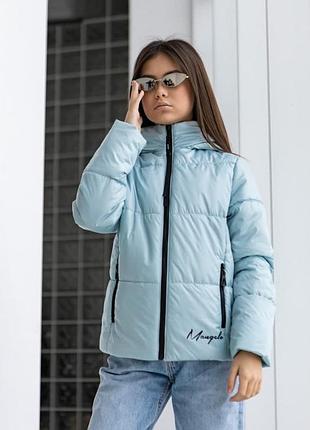 Шикарні куртки демі