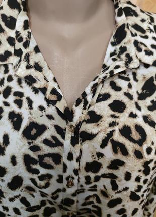 Блузка жіноча5 фото