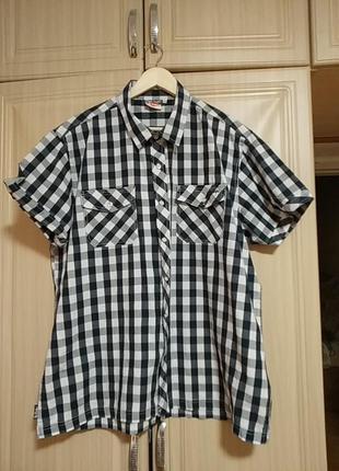 Хлопковая рубашка большого размера