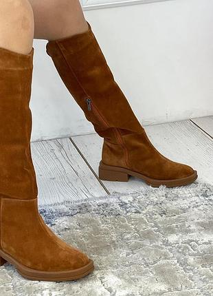 Чоботи демі/зима