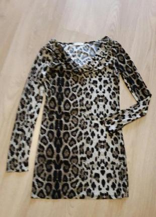 Леопардове плаття1 фото