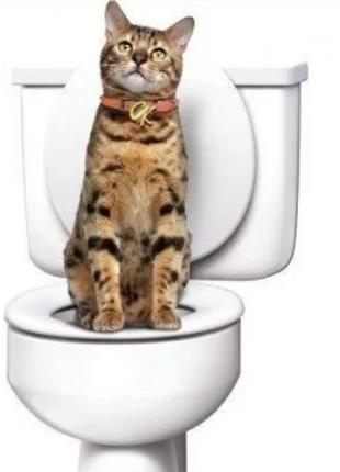 Туалет приучатель для котов. туалет для котов3 фото