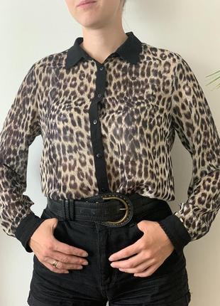 Блузка шифоновая new look блуза з леопардовим принтом1 фото