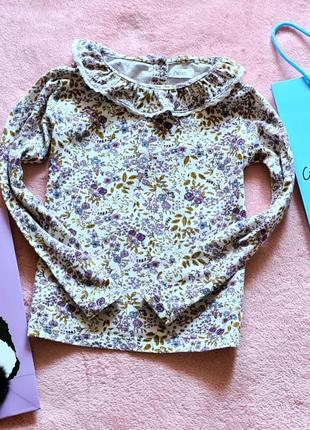 Реглан кофта дитяча блузка з мереживом