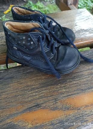 Шкіряні фірмові дитячі черевички від bausb 22р (00037)