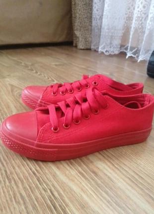 Мокасіни кеді