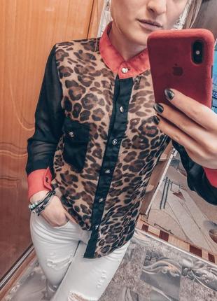 Рубашка шифон леопардовый принт1 фото
