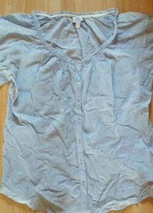Блузка,сорочка з органічної бавовни в клітинку від tcm tchibo 44р наш 505 фото