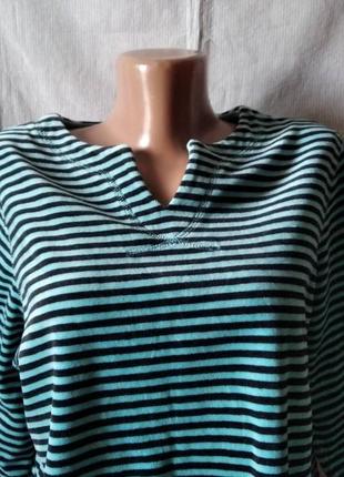 Реглан велюровий смуга  батал dash