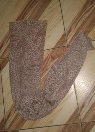 Колготки плотньіе лео zara