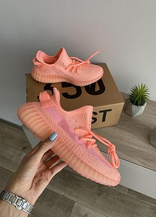 Шикарные женские кроссовки топ качество 🎁