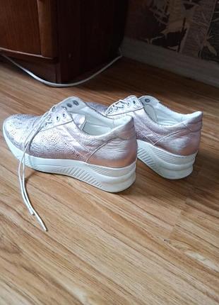 Шкіряні туфлі, кросівки.