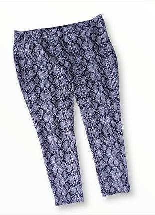 Стильні штани принт пітон klass 3