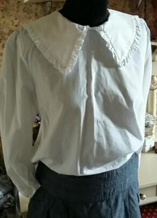 Блуза zara з красивим коміром