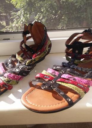 Женские кожаные разноцветные  римские сандалии zone2 фото