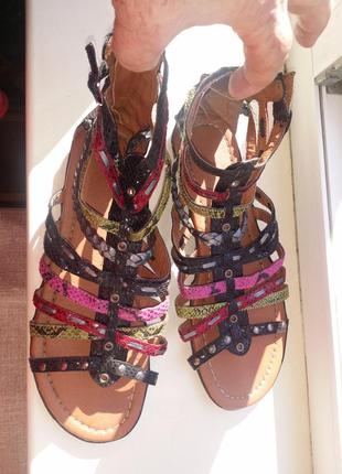 Женские кожаные разноцветные  римские сандалии zone10 фото