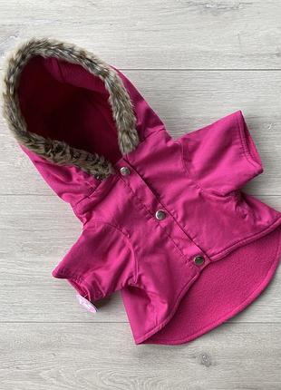 Курточка на собаку dog accessories