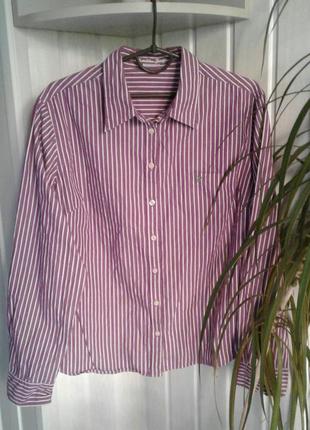 Рубашка 100% хлопок шведского бренда christian berg длинный рукав батальный р 3xl1 фото