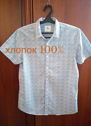 Р. м "cedar wood state" бавовняна теніска сорочка 100% бавовна