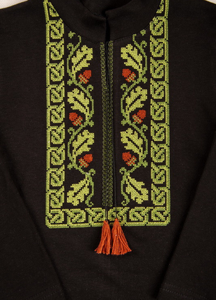 Вишиванка на довгий рукав