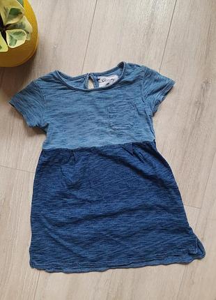 Сукня некст next