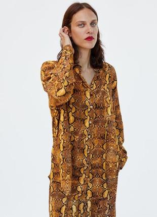 Рубашка блуза в хищный леопардовый принт от zara,p. s
