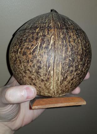 Оригінальна скринька з кокосового горіха