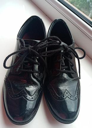 Лофери дитячі