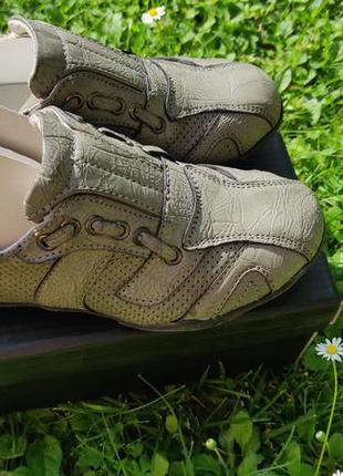 Туфлі, 27 buddy dog