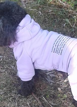 Костюм для собак і котів трехнитка з начосом лаванда