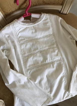 Блуза, кофточка