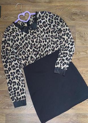 Сукня з комірчиком