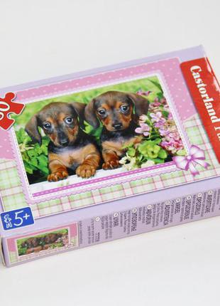 Пазли 80 елем. цуценята castorland