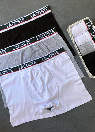 Набор мужских трусов lacoste (шортики)