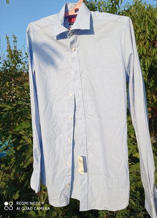 Т21. новая хлопковая мужская рубашка liv голубая нарядная с длинными рукавами натуральная хлопок 100