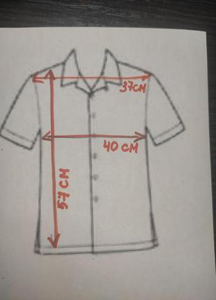 Поло blueland 140-146 4