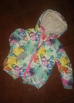 Парка оригинальная