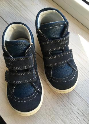 Кожаные ботинки primigi  25 см , хайтопы черевики2 фото