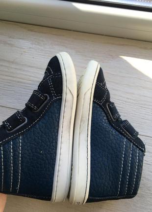 Кожаные ботинки primigi  25 см , хайтопы черевики5 фото