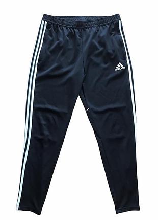 Завужені спортивні штани adidas