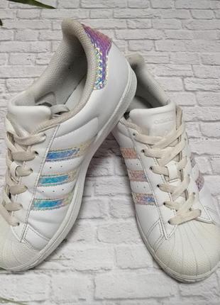 Женские кеды adidas superstar р. 38,5